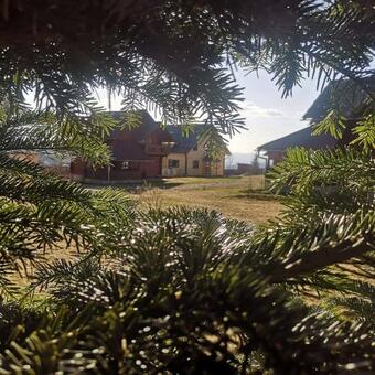 Cabanele Floricrin - Cabana 2