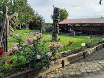 Hostal Pensiunea Casa Brancusi