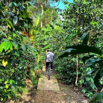 Biking & Adventure By La Palma Y El Tucan Hotel