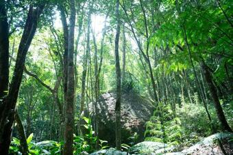 Lodge Ref�gio Das Arauc�rias