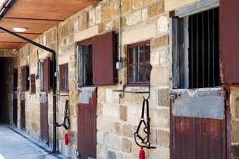 Bed & Breakfast Woodlands Farm