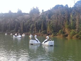 Apartamento Suíte Lago Negro