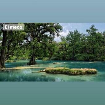 Caba�as El Sabinito