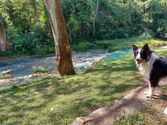Apartamento Habitaciones R�o La Toma, Ejido Damian Carmona Mpio. Tamasopo