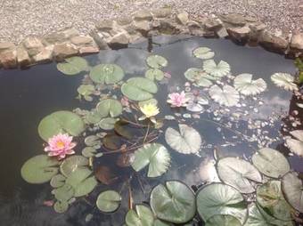 Fernside Bed And Breakfast