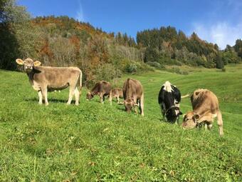 Apartamento Schmiedlarhof