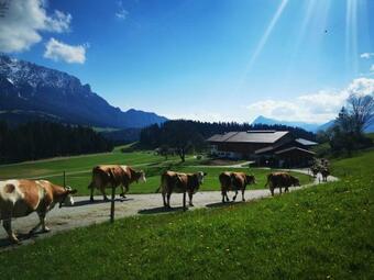 Agroturismo Biobauernhof Und Ferienhaus Riederbauer