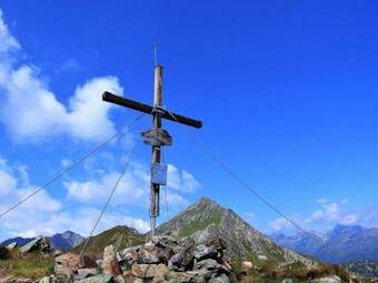 Wood Cube An Der Drau