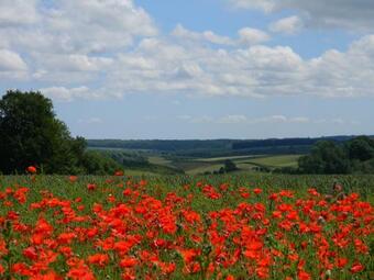 Poppy Glamping Pod