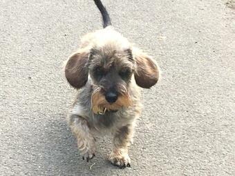 Bed & Breakfast Field End House