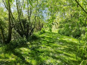 Ivy Thorn Cottage - Uk30114