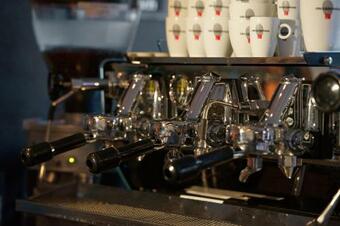 Bed & Breakfast Villa Sterrebosch - Bruidssuite