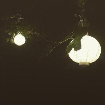 Bed & Breakfast Yerseke