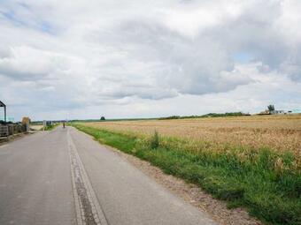 Serene Bungalow In Landgraaf With Terrace And Nature Garden