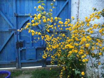 Casa Anca Cheile Nerei