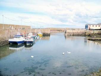 Apartamento Old Templars Cottage