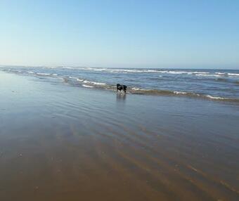 Church Farm, Legbourne Louth