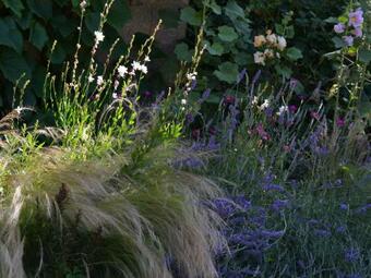 G�te Chilleurs-aux-bois, 3 Pi�ces, 4 Personnes - Fr-1-590-10