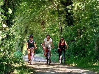 Agroturismo La Cour Du Li�ge-charming Renovated Country Estate