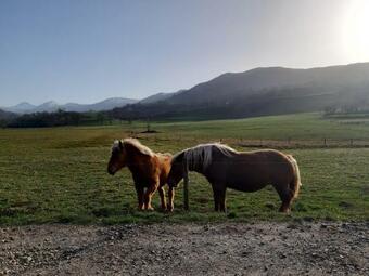 Maison Au C?ur Des Volcans