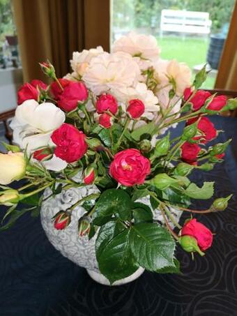 Hostal La Cour Du Puits Chambre Maxime