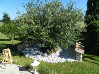 Bed & Breakfast L'alivu