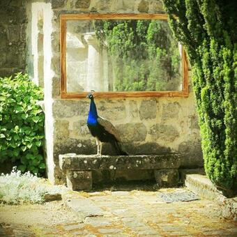 Bed & Breakfast Domaine De Frevent