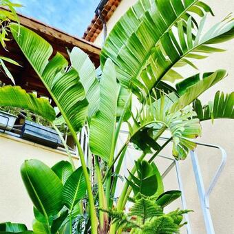 Bed & Breakfast Cote Bleue - Calanque De La Redone - Chambre Independante 2 Personnes