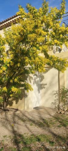 Apartamento Joli G�te Dans Mas Au Calme En Campagne de 55m2