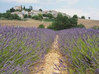 Apartamento Le G�te de D�d�e