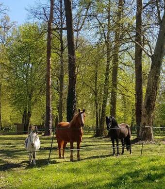 Bed & Breakfast Les Sabots Du Parc