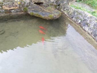 Bed & Breakfast Les Grandes Ch�zelles