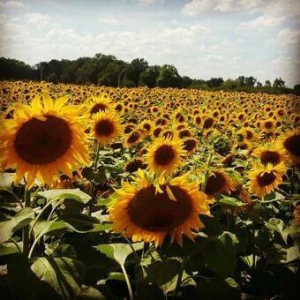 Bed & Breakfast Le Moulin De Follet