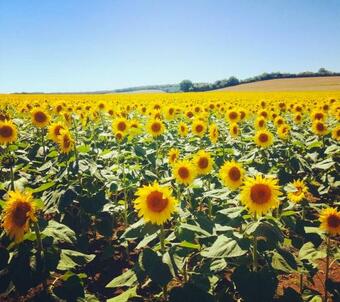 Apartamento Mas Bien Etre