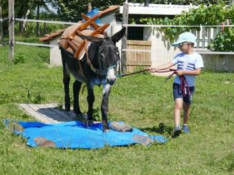 G�te En Comminges