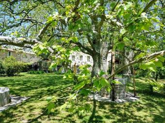 Villa 1560- Domaine Des Cinq Jardins- A Magical And Authentic Mansion