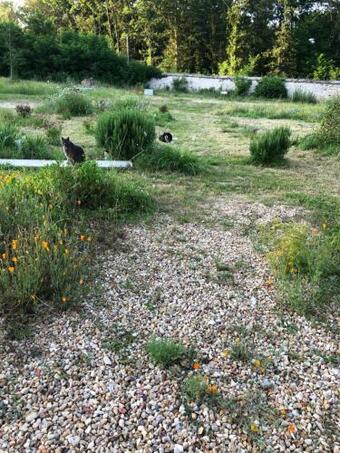 Le Pigeonnier Rte De Gievres Selles Sur Cher