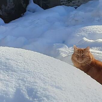 Bed & Breakfast Esprit Nature R�ve D'�toiles