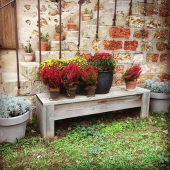 Bed & Breakfast Domaine Les Grands P�rons