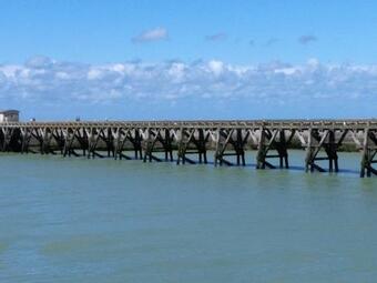 Le Chant Des Oiseaux