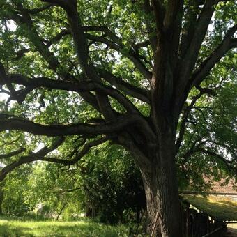 Bed & Breakfast La Raillere