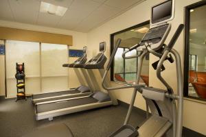 Hotel Hampton Inn & Suites Selma-san Antonio/randolph Afb