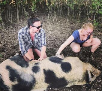 Agroturismo Better Farm