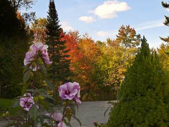 Bed & Breakfast Tucker Hill Inn