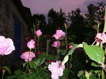 Bed & Breakfast La Petite Vallee