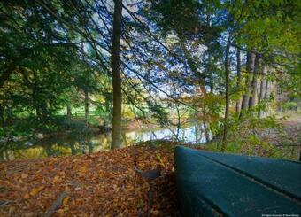 Tentrr Signature Site - Tranquility On The River