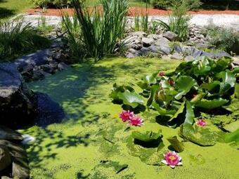 Luxurious Villa With Pool Spa Arcade Room And More