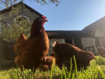 Bed & Breakfast Grand Jardin - Clairefontaine