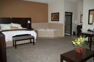 Hotel Hampton Inn & Suites Dumas