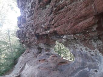 Apartamento Gite A La Petite Fontaine-plain Pied-maison Alsacienne Renovee Avec Passion-4 Pers-3nuit�es Minimum